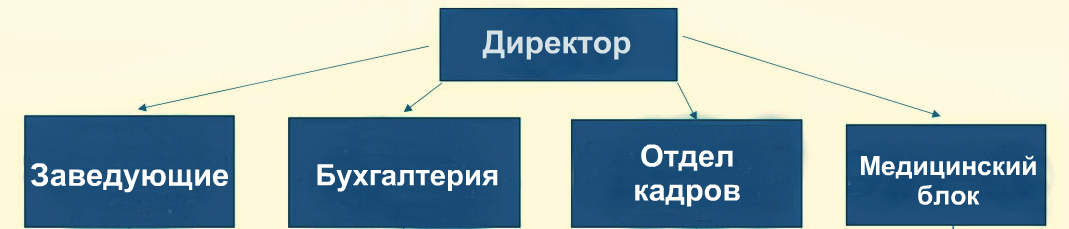 Структура организации